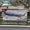 10177 boeing 787 dreamliner 1