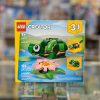 31377 turtle with a water lily 1